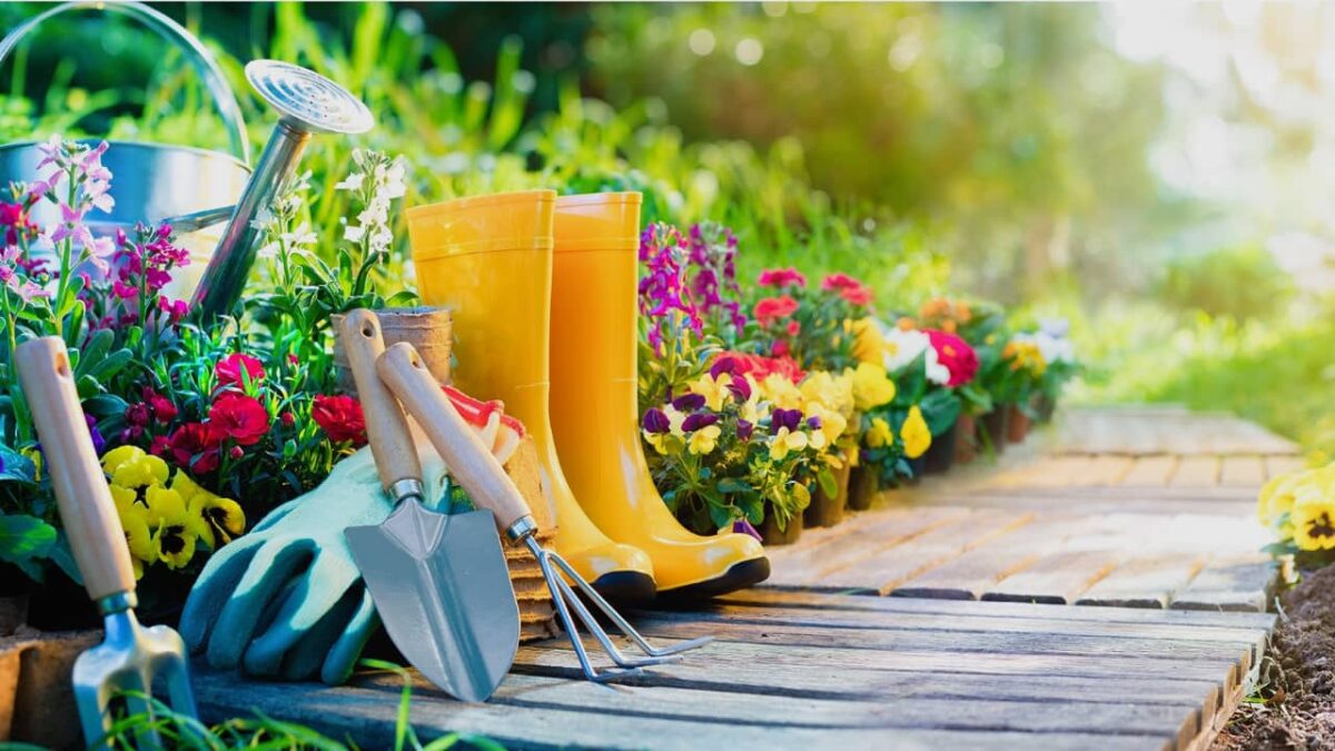 Jardinage : trucs et astuces pour colorer votre jardin
