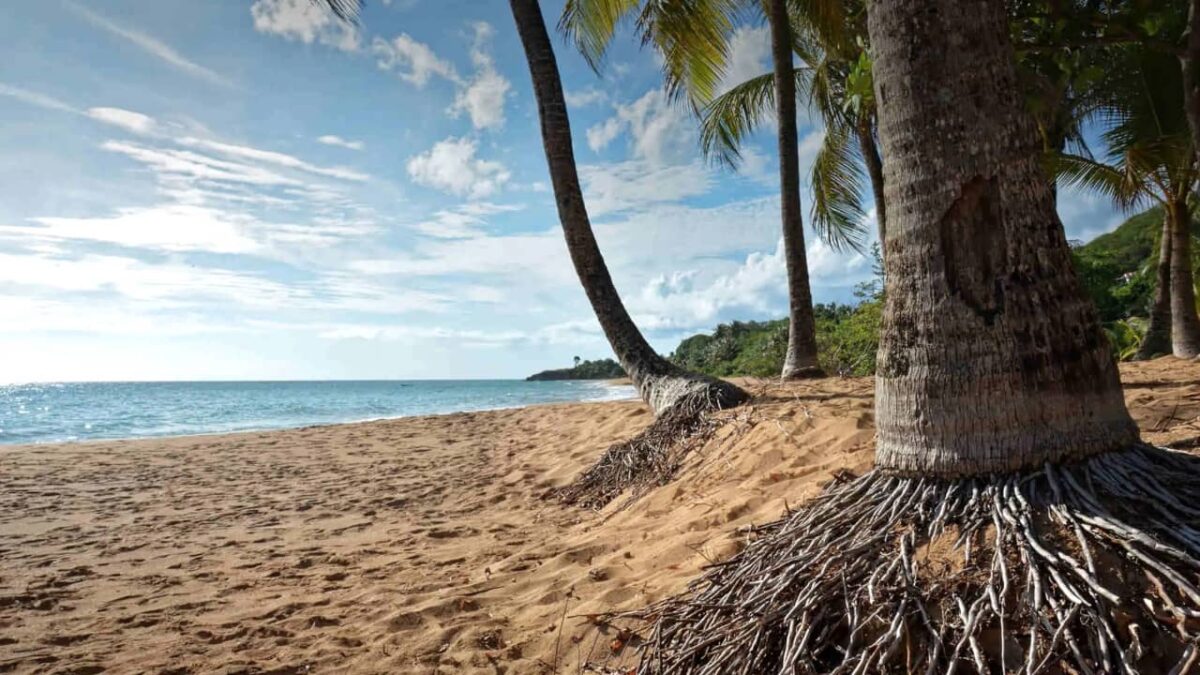 5 choses à faire pour des vacances inoubliables en Guadeloupe