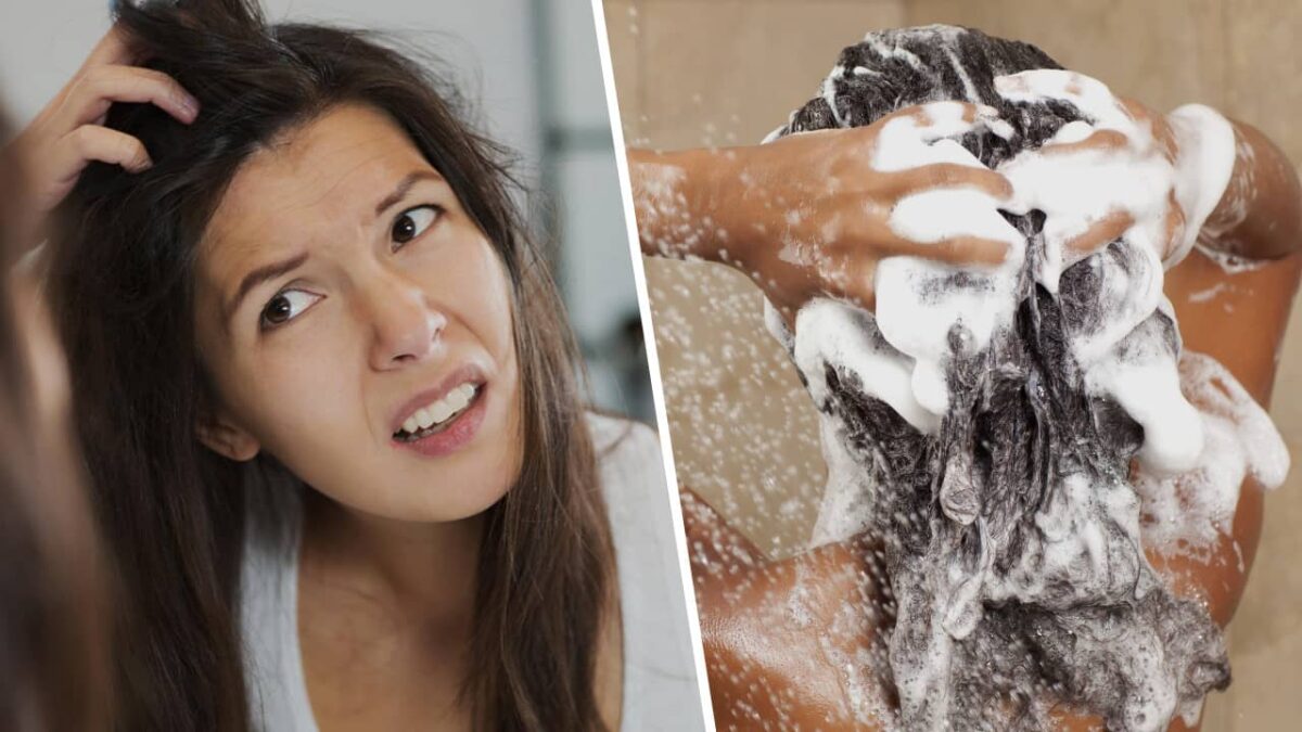 Comment choisir un shampoing anti-grattage ?
