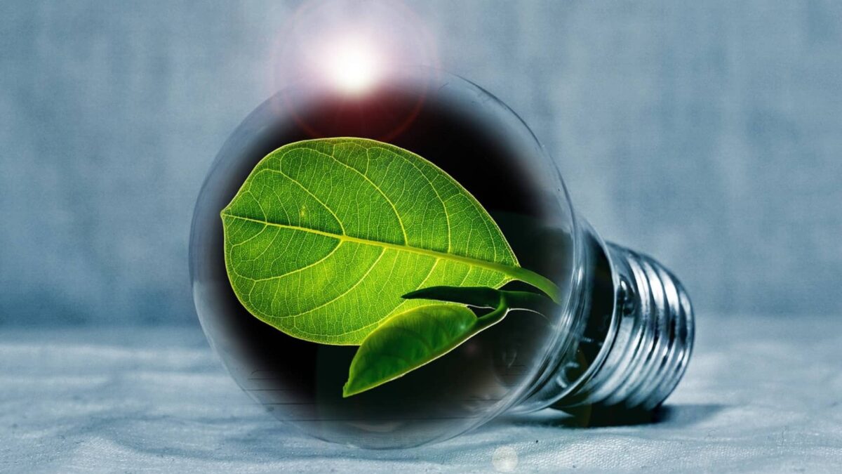 Énergie verte : qu’est-ce que l’éco-énergie propre ?
