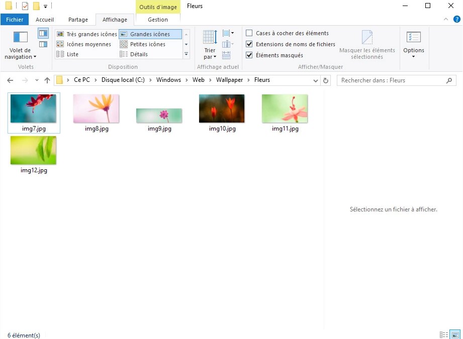 J’ai des problèmes avec les aperçus d’images dans Windows 10, que dois-je faire ?