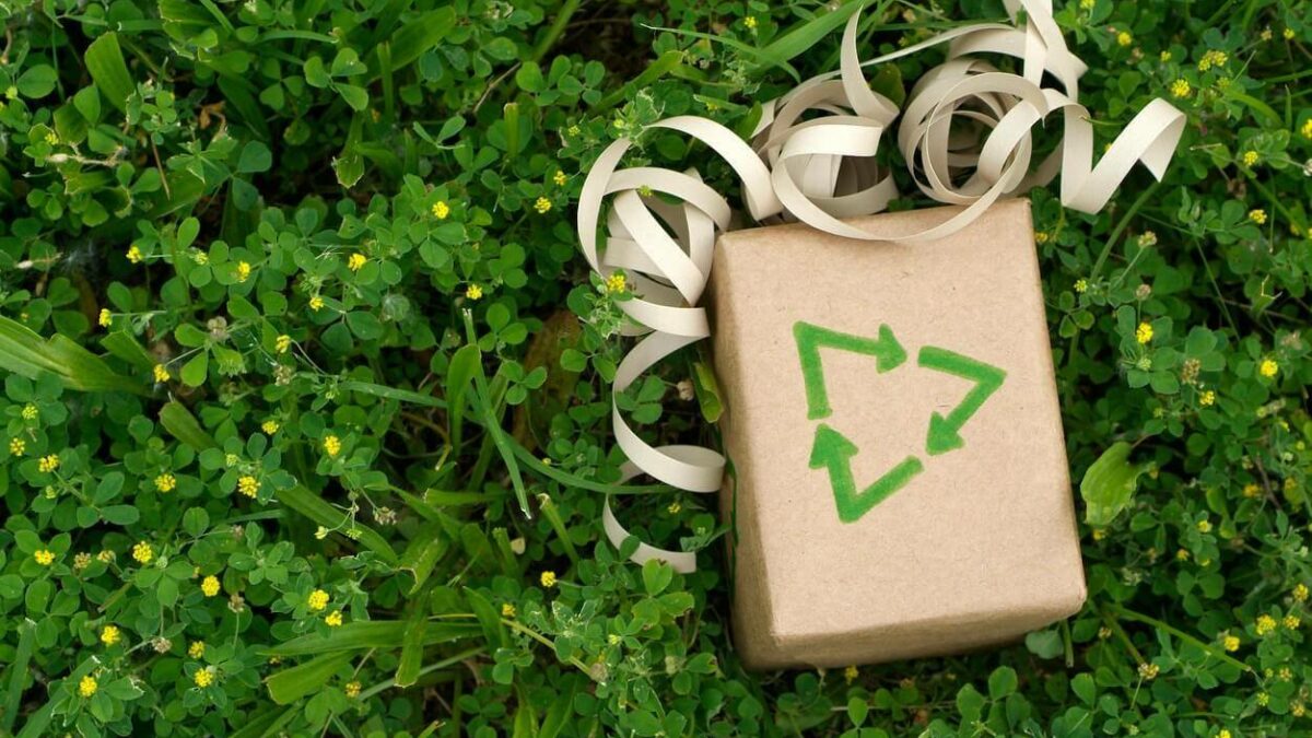 Noël 2021 : Que donner aux écologistes ? 18 idées cadeaux éthiques et écologiques