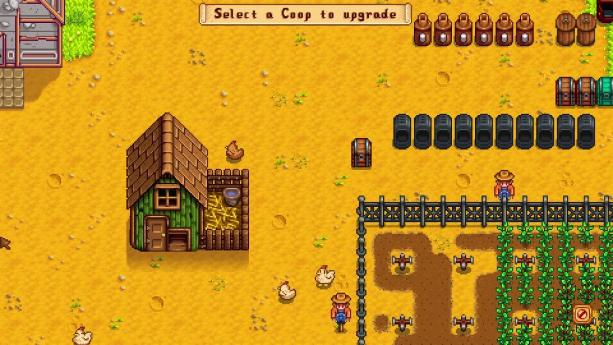 Can you marry Coop Stardew Valley?