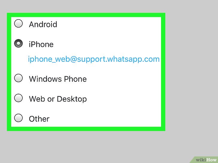 Comment contacter le service WhatsApp