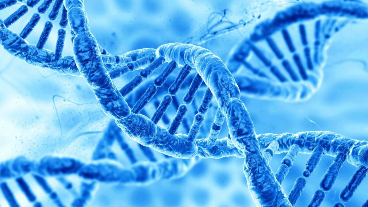Comment créer de l’ADN ?