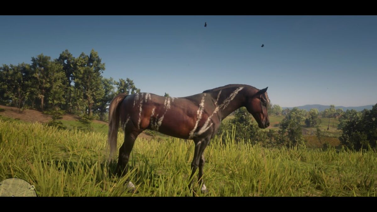 Où trouver cheval rare Red Dead Redemption 2 ?