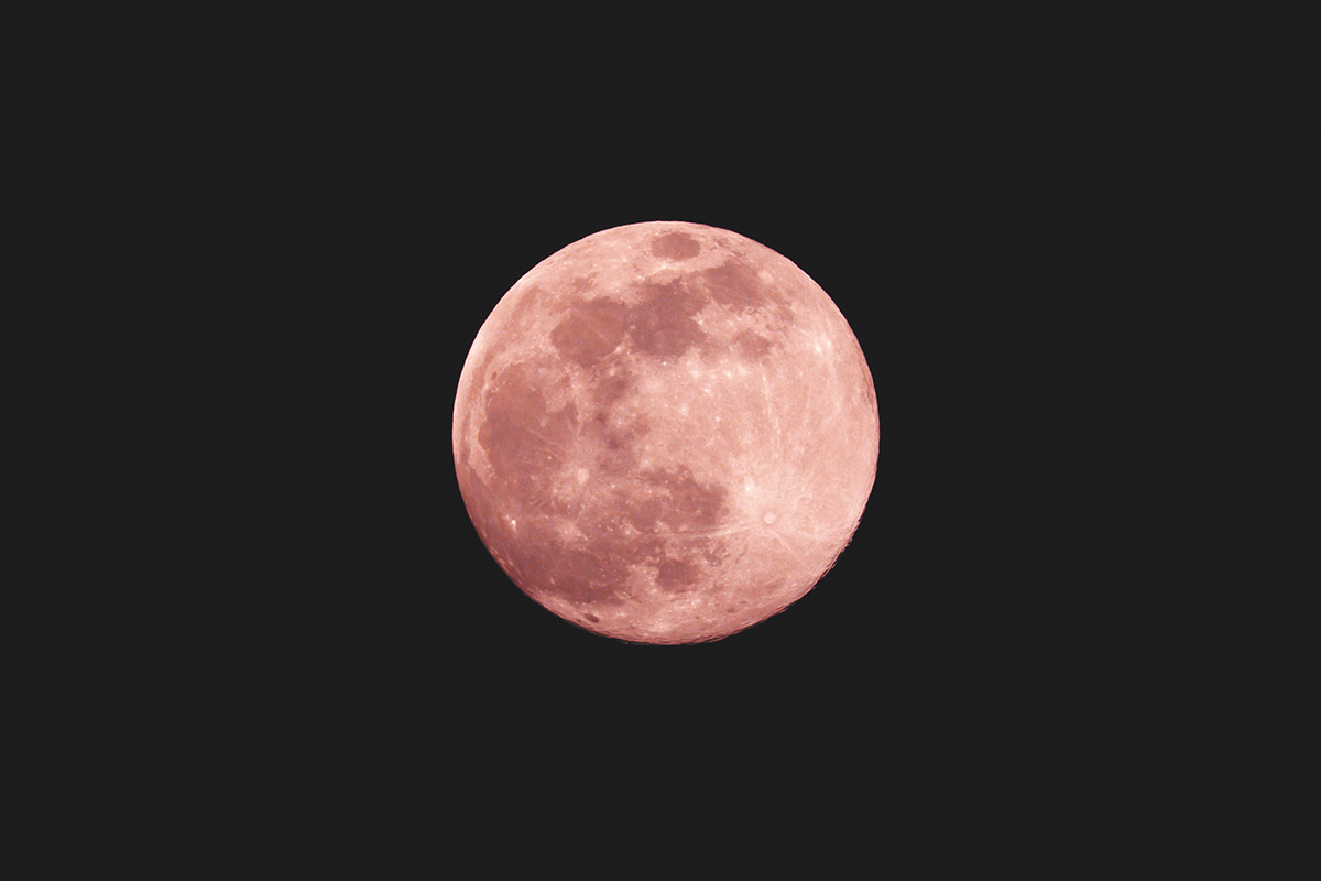 Quand la lune rose 2022