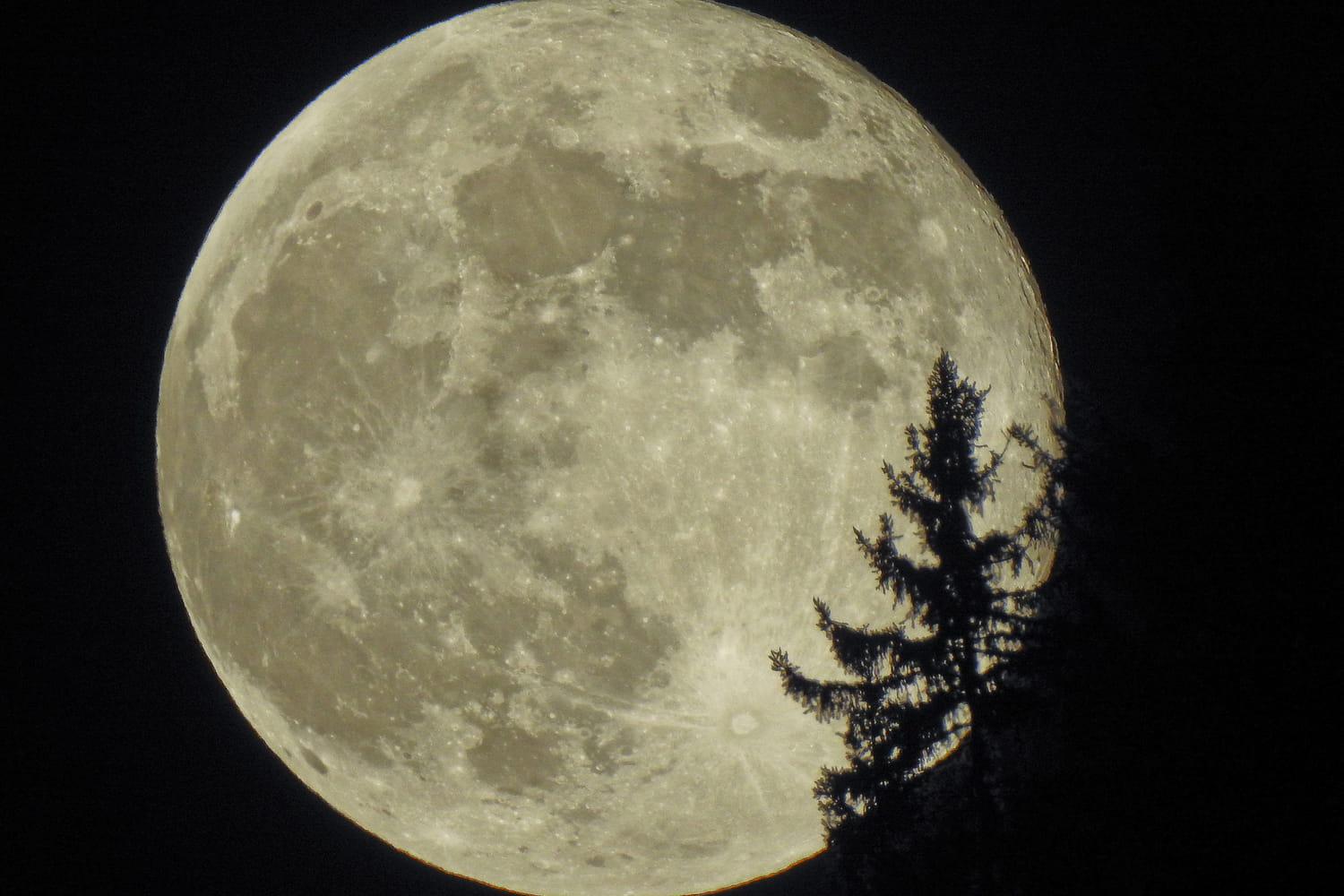 Quand la prochaine pleine lune 2021