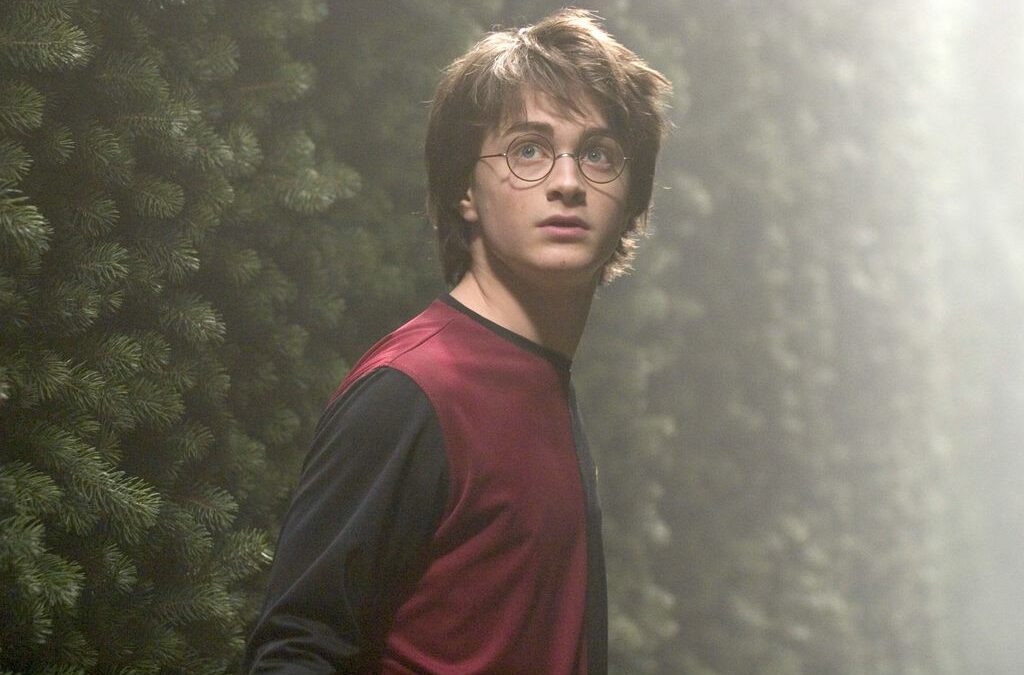 Quand va sortir le film Harry Potter 8 ?