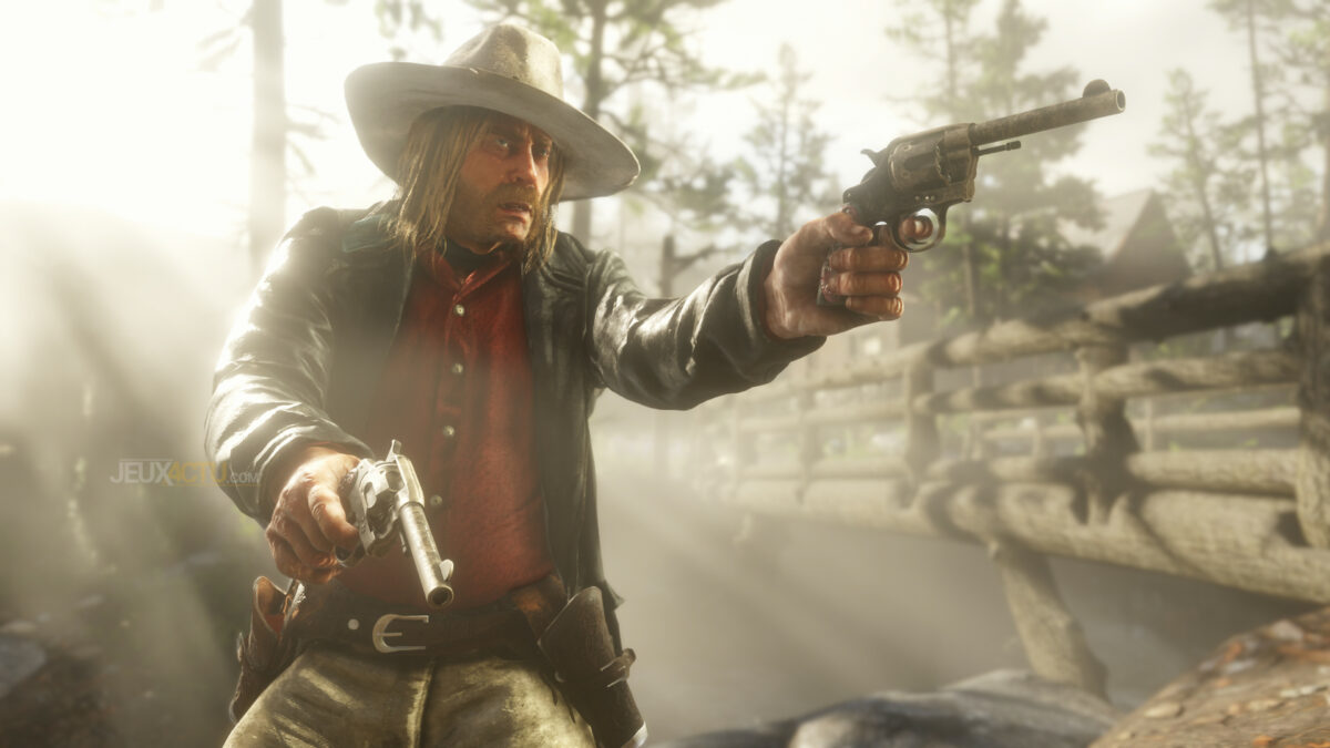 Quel est le but de Red Dead Redemption 2 Online ?